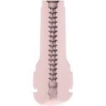 KIIROO - SENTIRE GENERICO STROKER PALLIDO - immagine 5